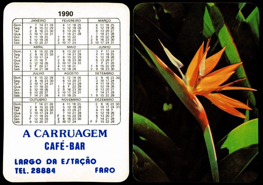 A Carruagem - Flor 1990 2
