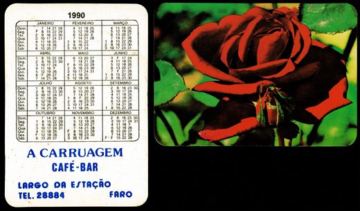 A Carruagem - Flor 1990 3