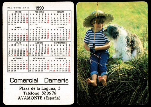 Comercial Damaris 13 1990