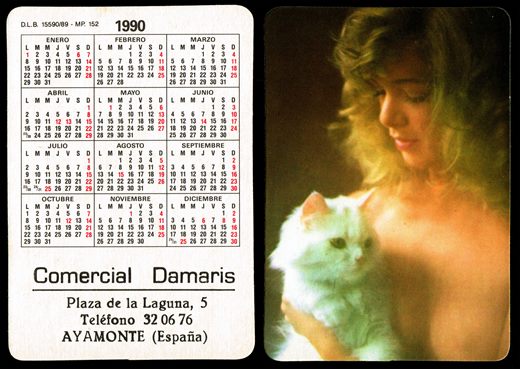 Comercial Damaris 152 1990