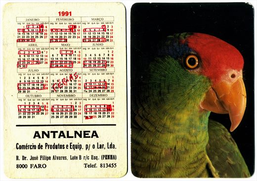 Antalnea 1991