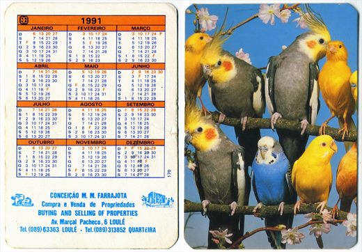 Conceicao M. M. Farrajota-1991