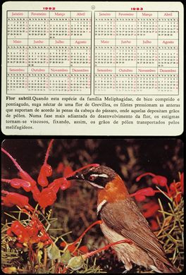 Animais - Passaros - Meliphagidae 1992