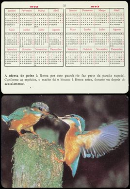 Animais - Passaros - guarda-rio 1992