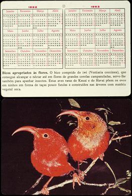 Animais - Passaros - iwi 1992