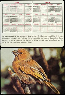 Animais - Passaros - Tentilhao-de-layson 1992