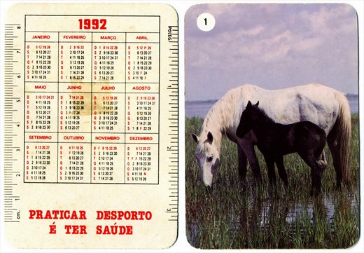 Praticar desporto e ter Saude - Cavalos 01-1992