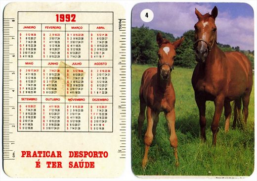 Praticar desporto e ter Saude - Cavalos 04-1992