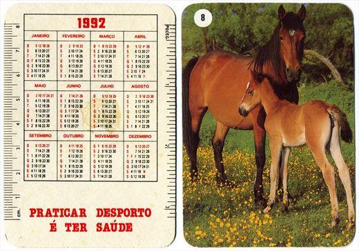 Praticar desporto e ter Saude - Cavalos 08-1992