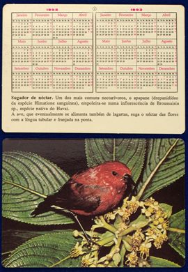 Sem nome - Aves 01 1992-1993