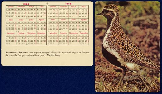 Sem nome - Aves 02 1992