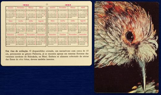 Sem nome - Aves 03 1992