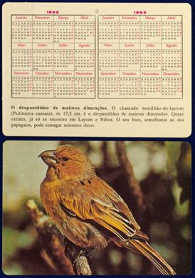 Sem nome - Aves 04 1992