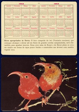 Sem nome - Aves 05 1992