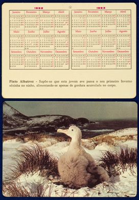 Sem nome - Aves 06 1992