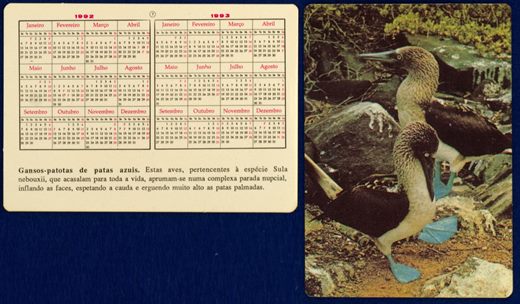 Sem nome - Aves 07 1992