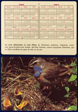 Sem nome - Aves 08 1992