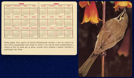 Sem nome - Aves 09 1992