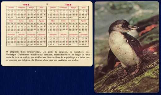 Sem nome - Aves 10 1992