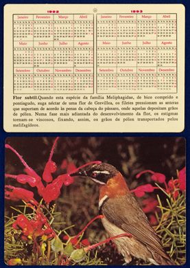 Sem nome - Aves 11 1992