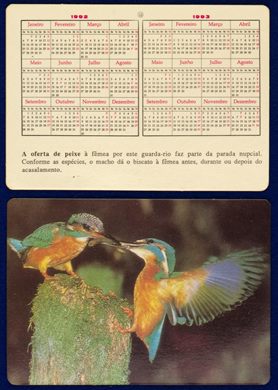 Sem nome - Aves 12 1992
