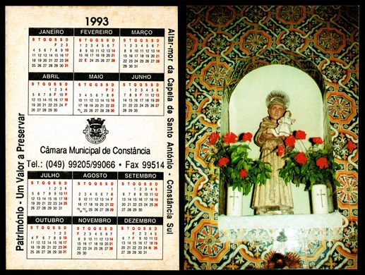 Camara Municipal de Constancia 1993