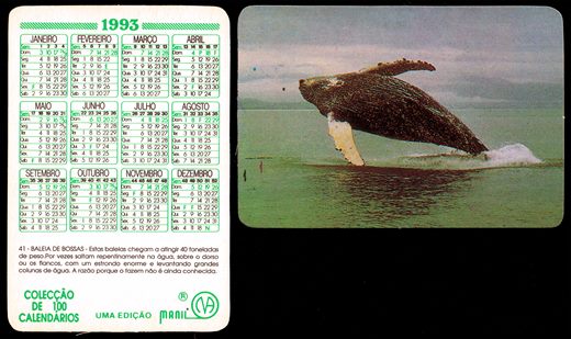 Manil - Coleccao de 100 calendarios 041 1993