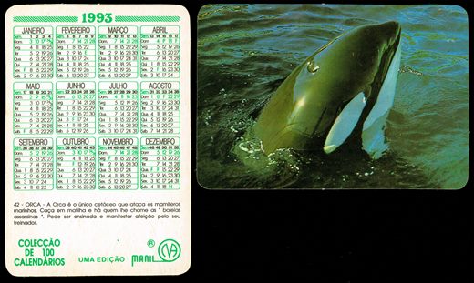 Manil - Coleccao de 100 calendarios 042 1993