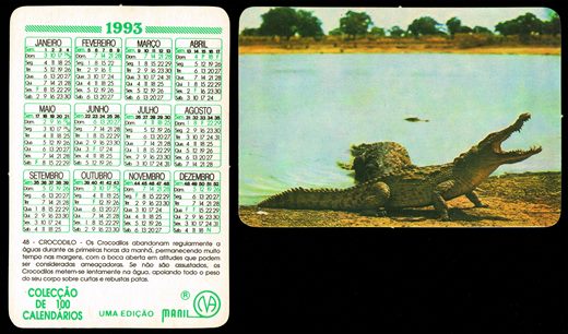 Manil - Coleccao de 100 calendarios 048 1993