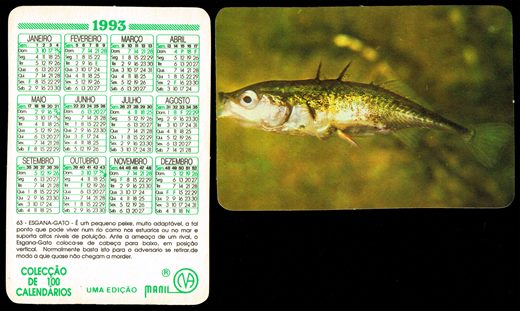 Manil - Coleccao de 100 calendarios 063 1993