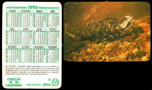 Manil - Coleccao de 100 calendarios 064 1993