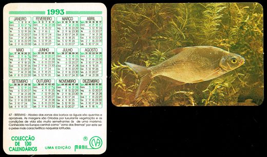 Manil - Coleccao de 100 calendarios 067 1993