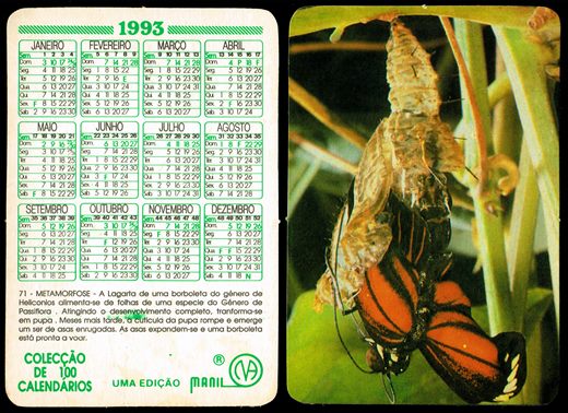 Manil - Coleccao de 100 calendarios 071 1993