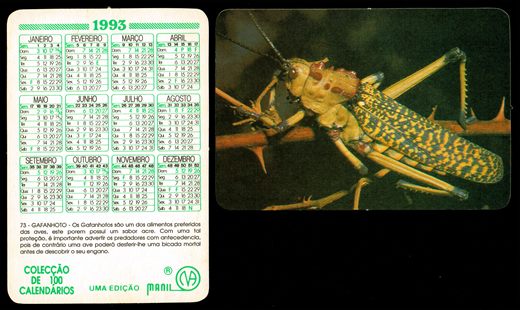Manil - Coleccao de 100 calendarios 073 1993