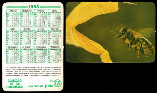 Manil - Coleccao de 100 calendarios 076 1993