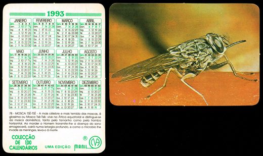 Manil - Coleccao de 100 calendarios 078 1993