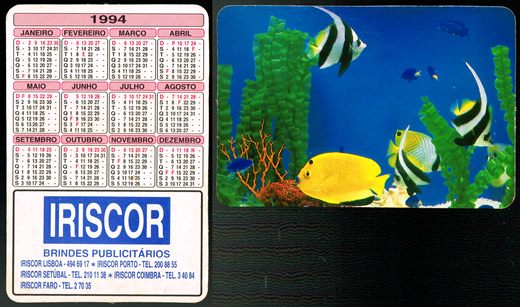Iriscor-1994