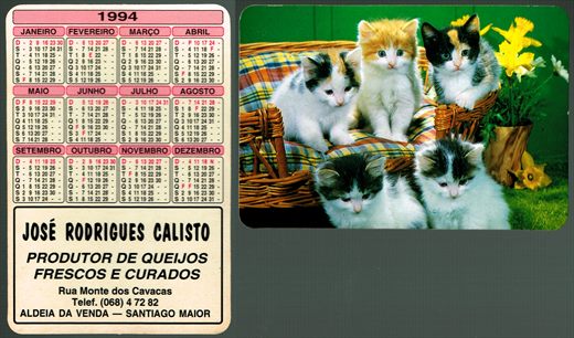 Jose Rodrigues Calisto 02-1994