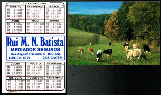 Rui M.N. Batista 01-1994