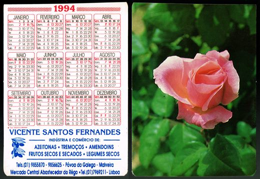 Vicente Santos Fernandes 02-1994