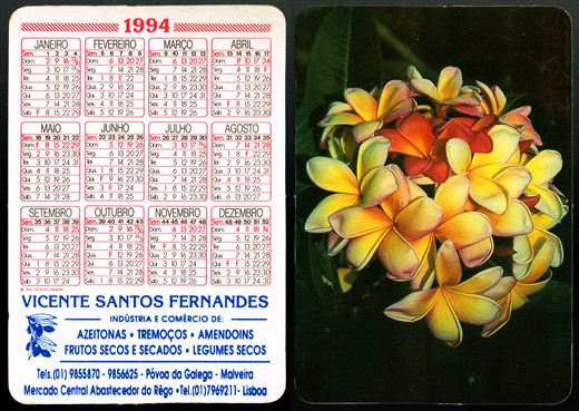Vicente Santos Fernandes 04-1994