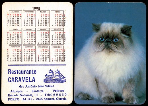 Restaurante Caravela 1995