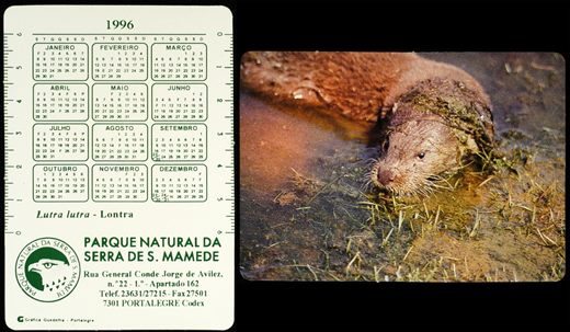 Parque Natural da Serra de S. Mamede (Lontra)-1996