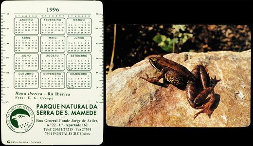 Parque Natural da Serra de S. Mamede (Ra Iberica)-1996