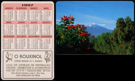 O Rouxinol-1997 (2)