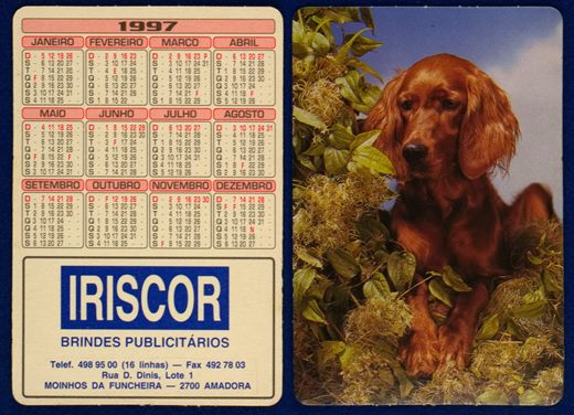 Iriscor 06 (1997)