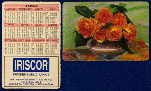 Iriscor 11 (1997)