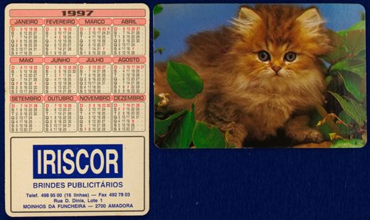 Iriscor 12 (1997)
