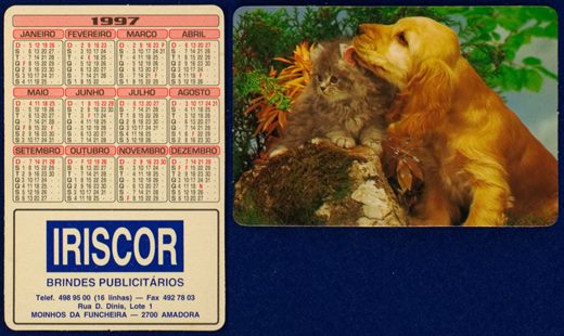 Iriscor 13 (1997)