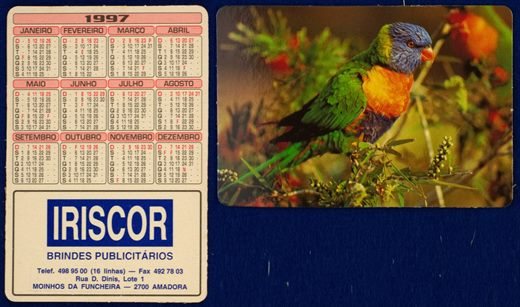 Iriscor 17 (1997)